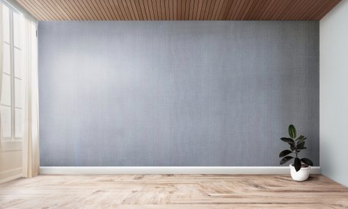 plant-empty-room-with-gray-wall-mockup grey wall room